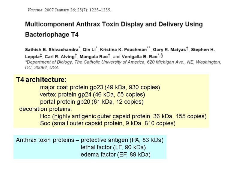 T4 architecture:  major coat protein gp23 (49 kDa, 930 copies)  vertex protein